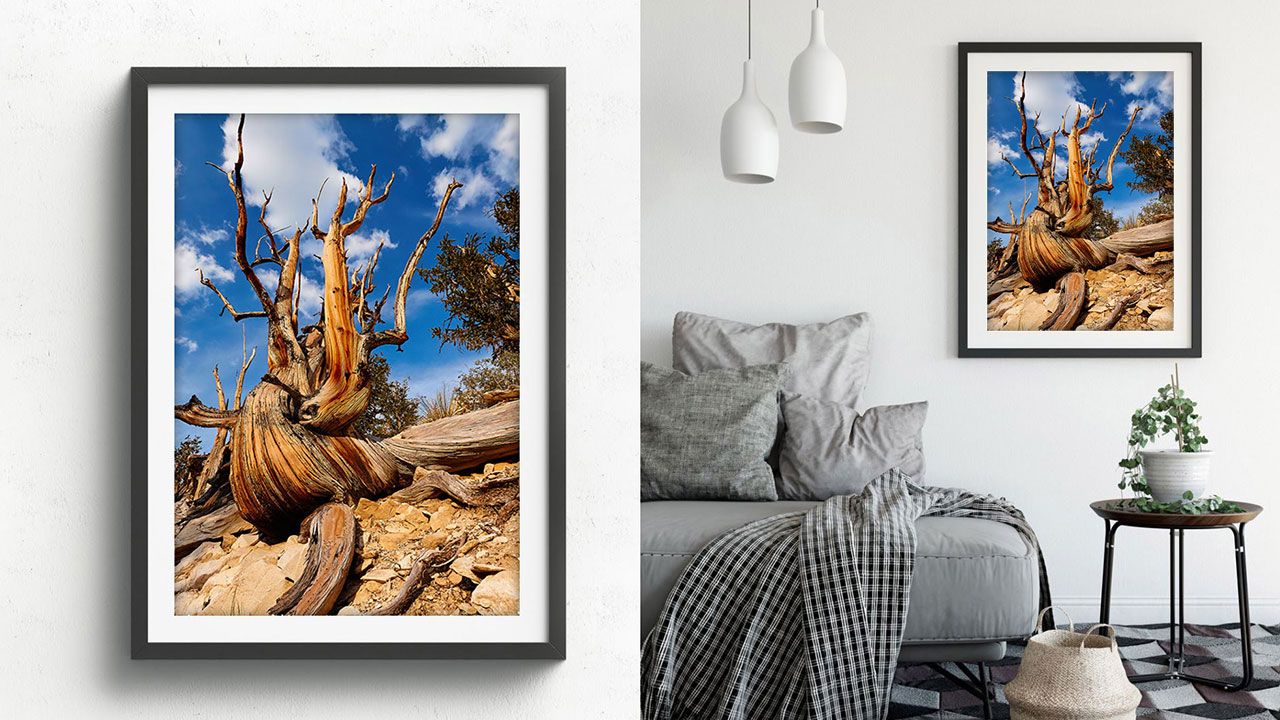 fine-art-interier_02